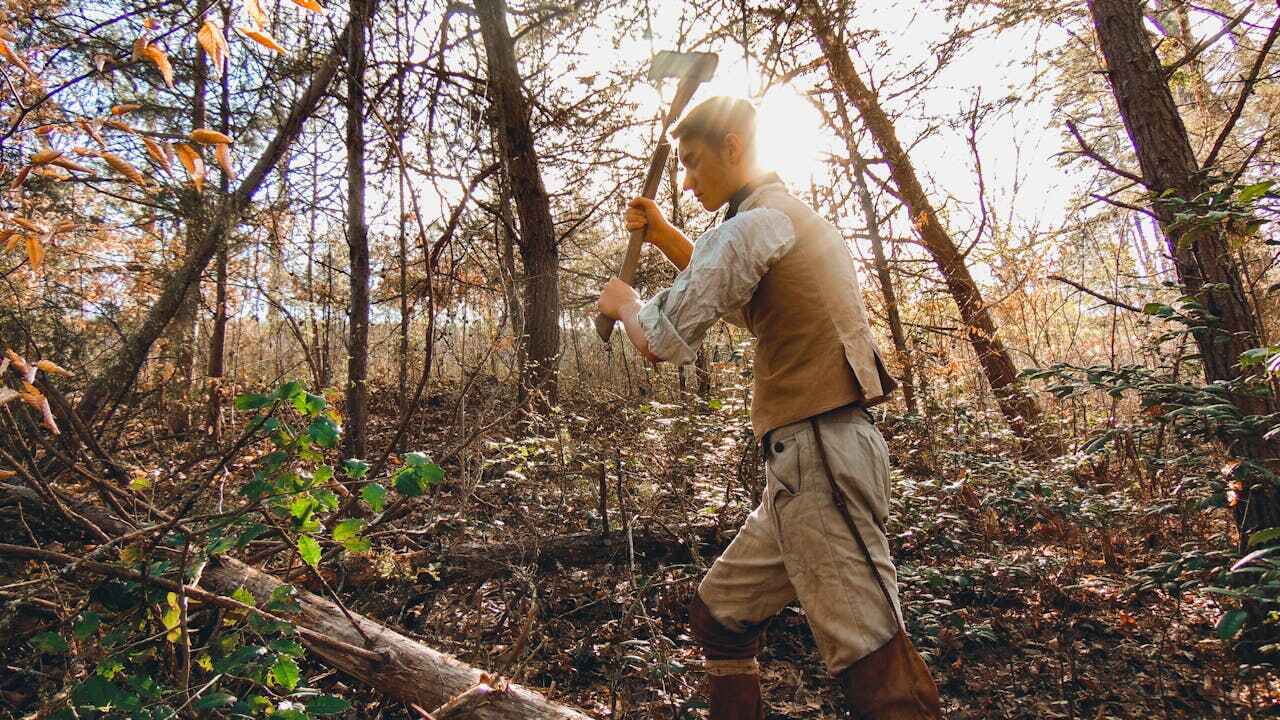 Emergency Storm Tree Removal in Walthourville, GA